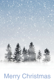 Holiday & Special Occasions holiday card 7