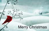 Holiday & Special Occasions holiday card 4